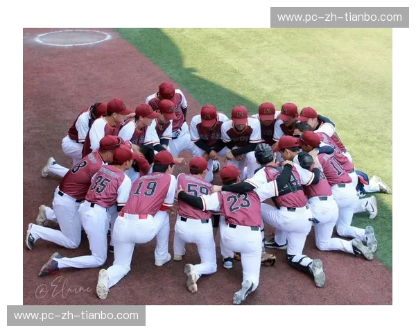 数据垒球——把每一份数据都击成全垒打