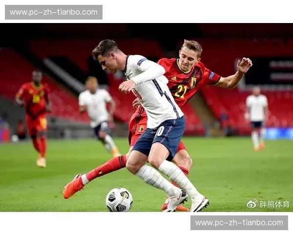 宿命的对决：大班vs野猫，胶佬世界的“性价比”巅峰之战